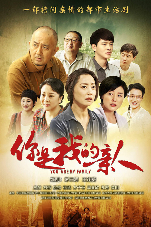 你是我的亲人(2013)海报