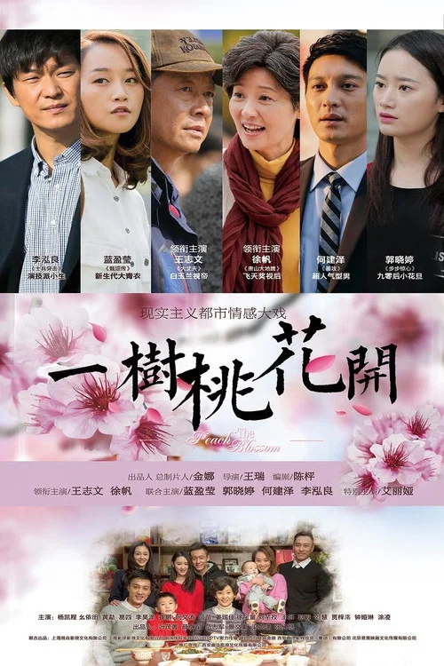 一树桃花开剧照2