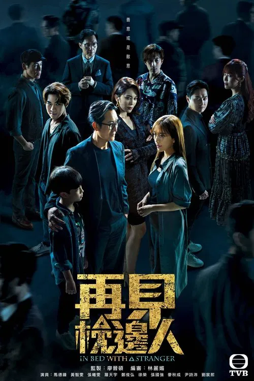 再见枕边人 国语(2024)海报
