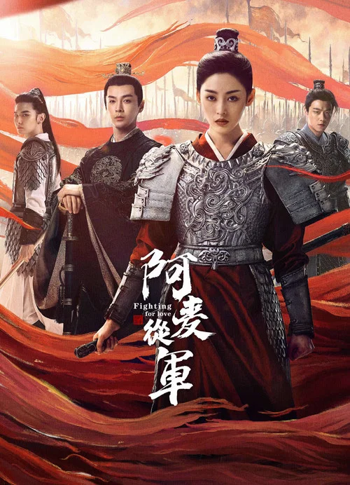 阿麦从军剧照11