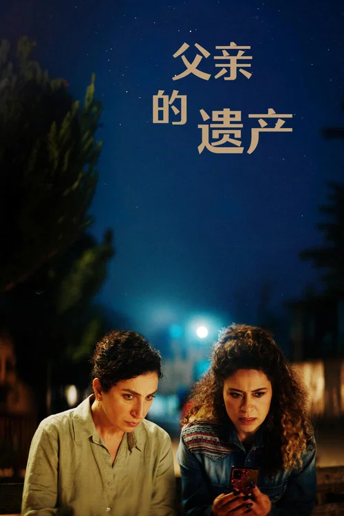 父亲的遗产(2025)海报