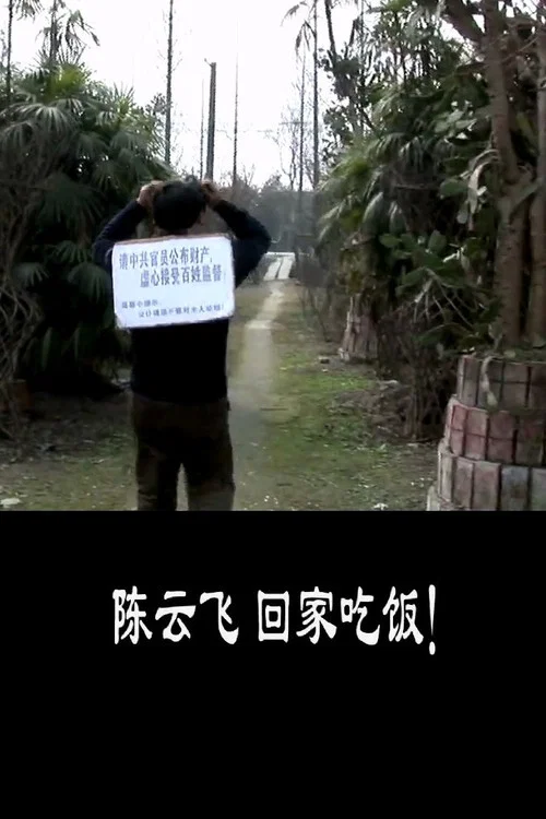 回家吃饭(2010)海报