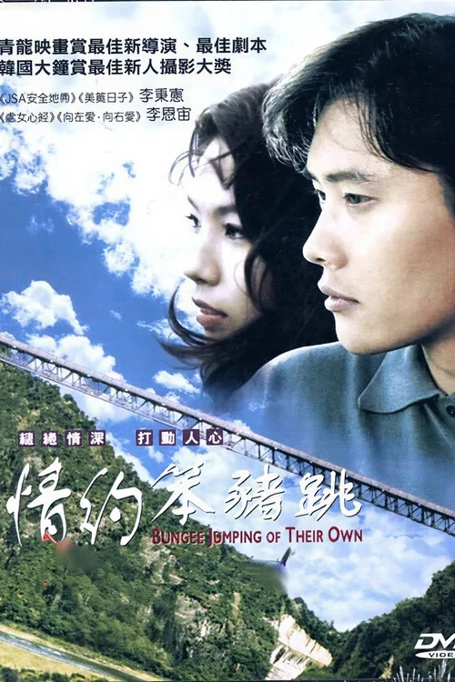 爱的蹦极(2001)海报