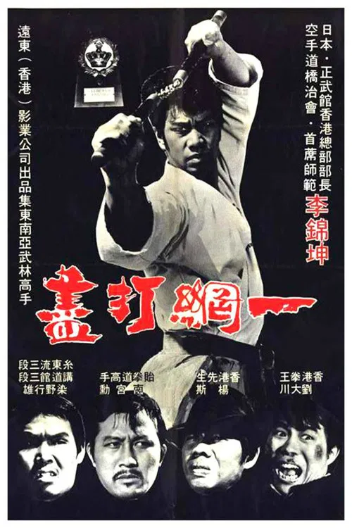 一网打尽(1974)海报