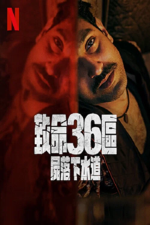 致命36区(2024)海报