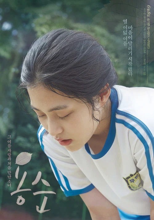 容顺(2017)海报