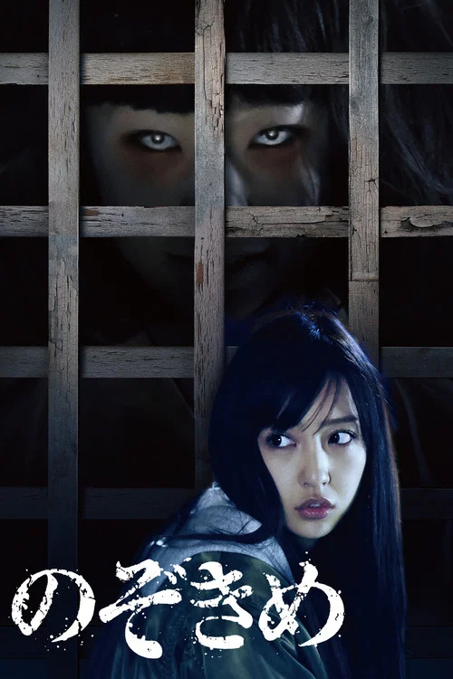 窥视之眸(2016)海报