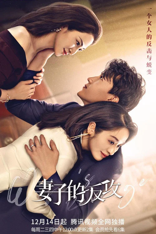 妻子的反攻(2021)海报