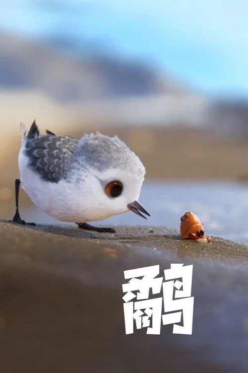 鹬(2016)海报