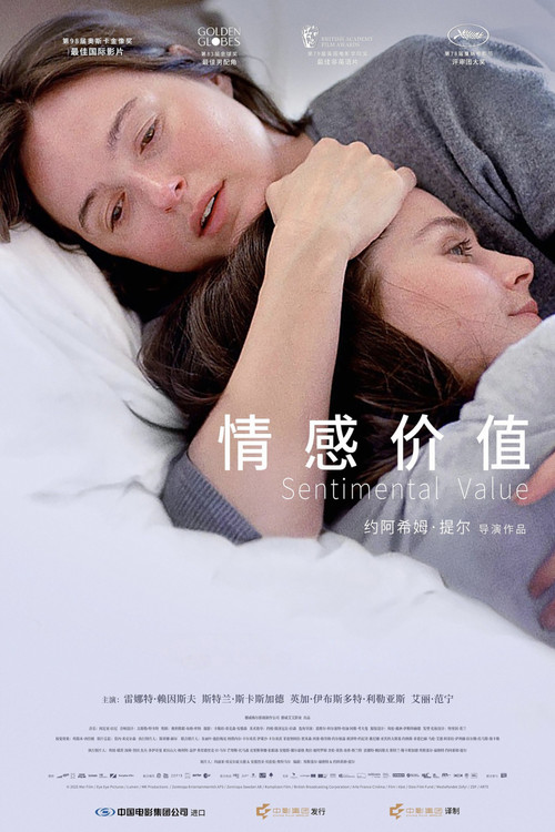 情感价值(2025)海报