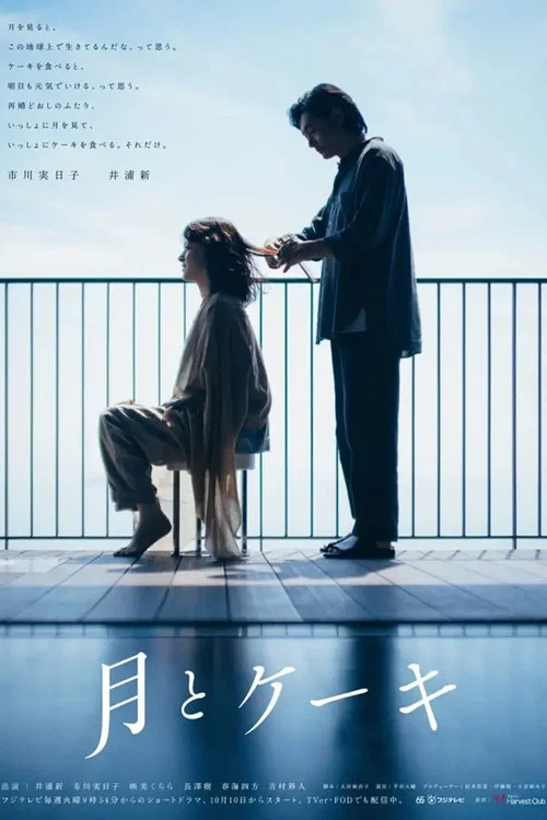 月亮与蛋糕(2023)海报
