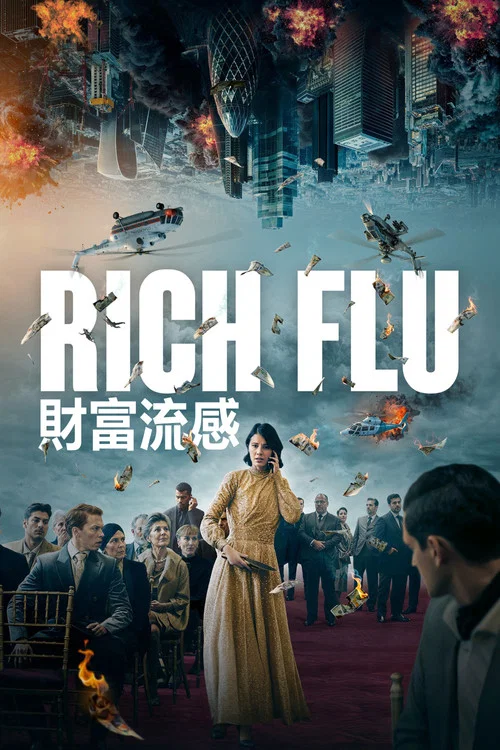 财富流感(2024)海报