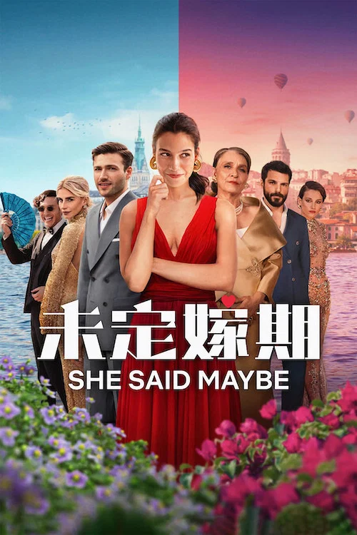 未定嫁期(2025)海报