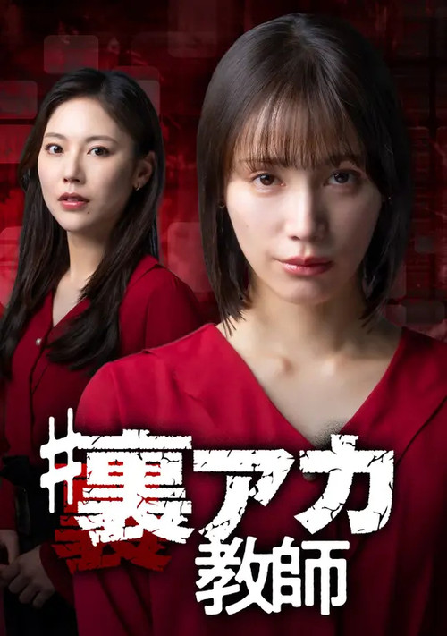 秘密账号教师(2025)海报