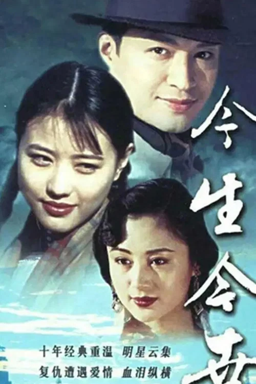 今生今世(1995)海报