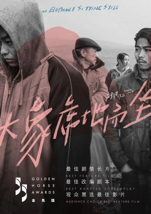 大象席地而坐剧照15