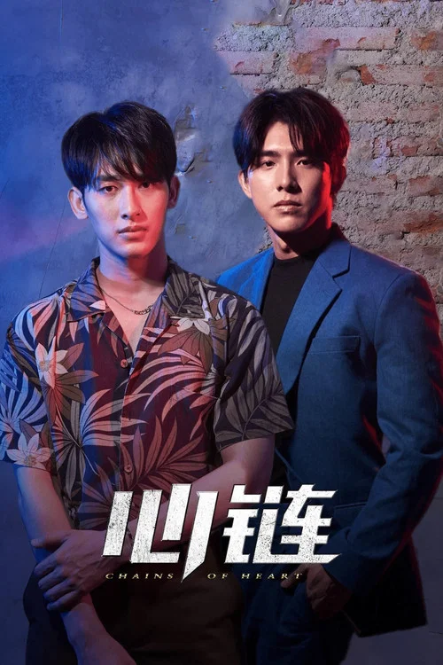 心链(2023)海报