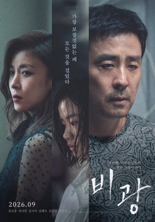 雨光(2026)海报