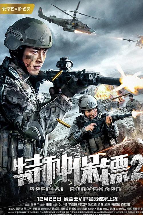 特种保镖2(2018)海报