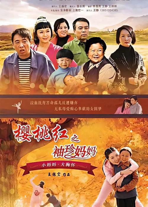 樱桃红之袖珍妈妈(2014)海报