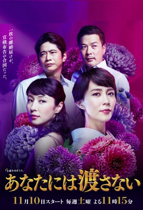 我不会让给你(2018)海报
