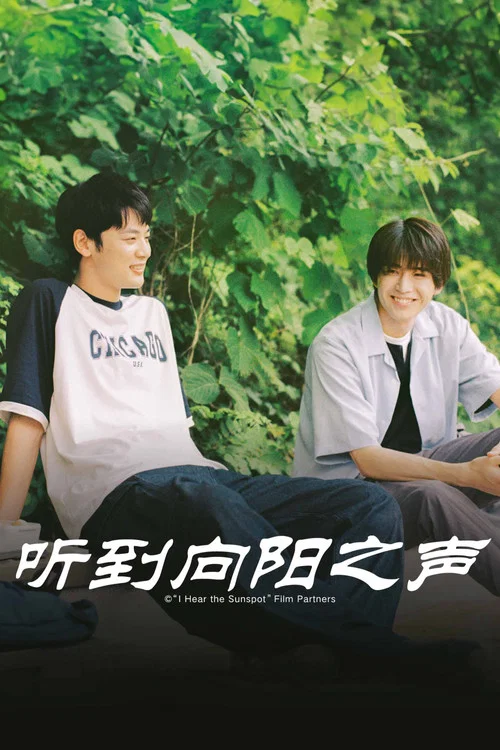 向阳之处必有声(2024)海报