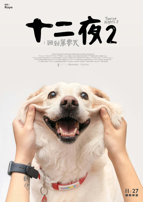 十二夜2:回到第零天(2020)海报