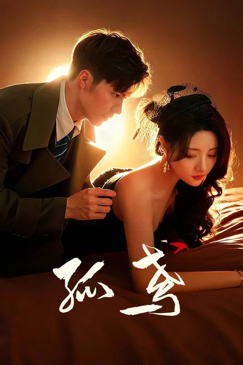 孤鸢(2025)海报