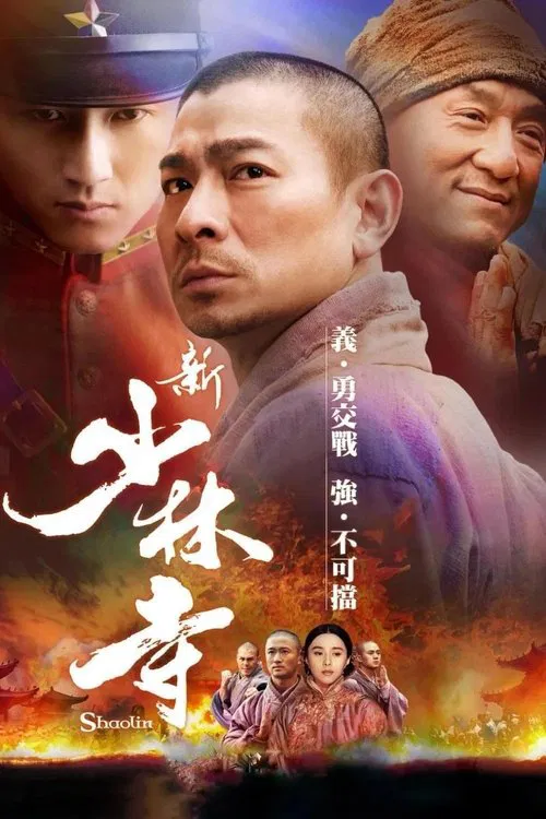 新少林寺(2011)海报