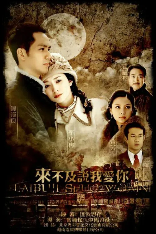 不说爱你(2010)海报