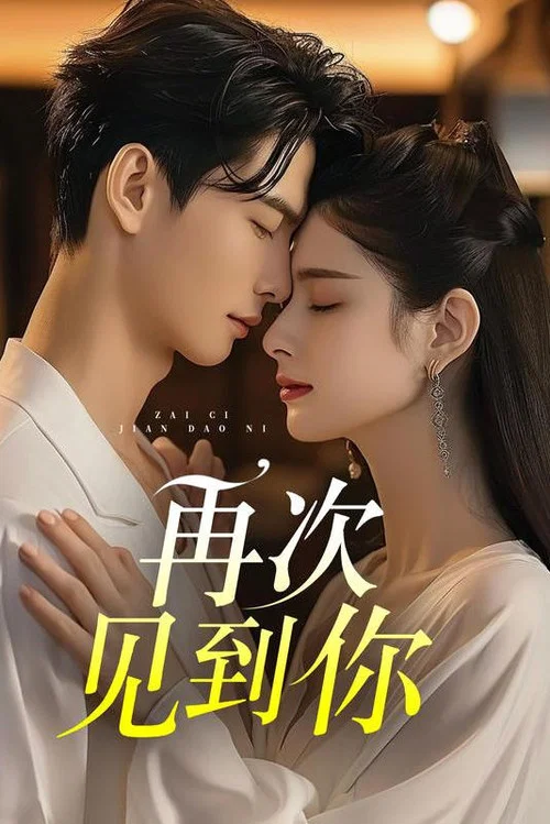 再次见到你(2024)海报