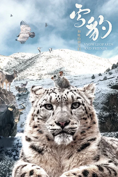 雪豹和她的朋友们(2023)海报