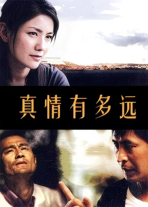 真情有多远(2010)海报