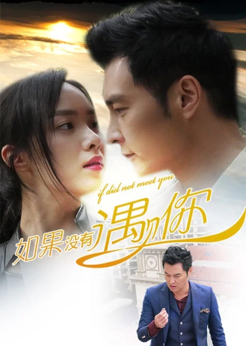 如果没有遇见你(2016)海报