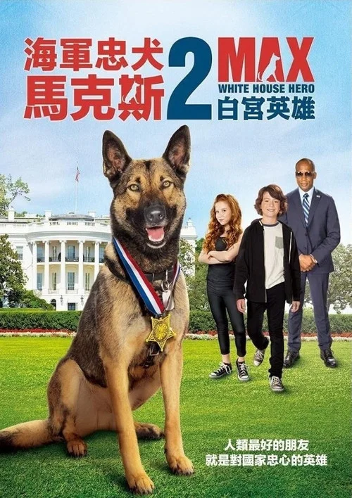 白英雄(2017)海报