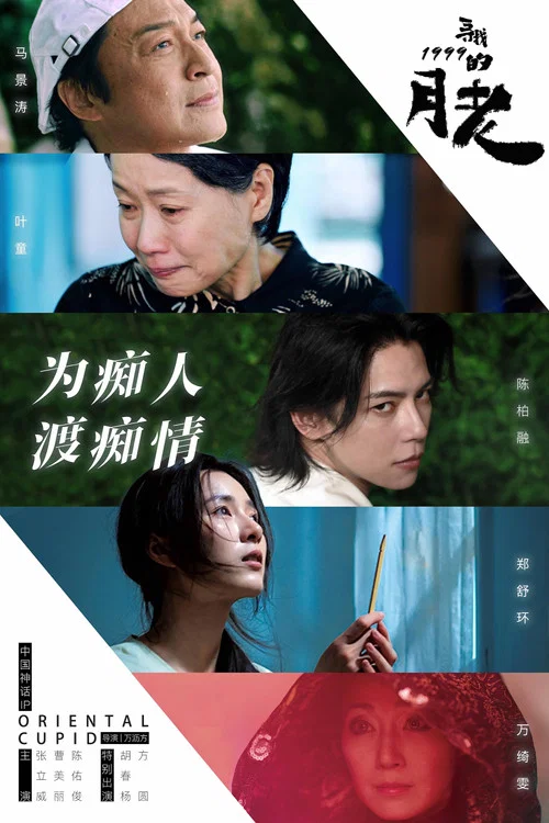 寻找1999的月老(2025)海报