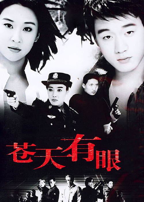 苍天有眼(2005)海报