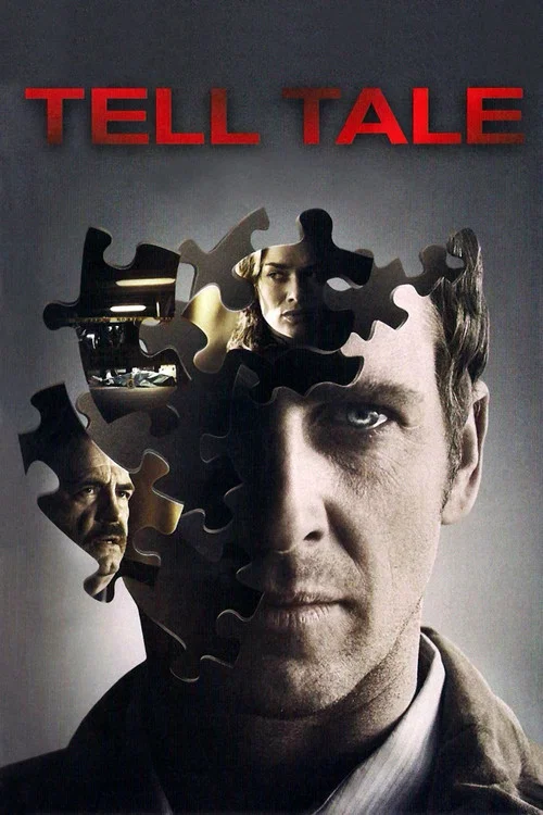 泄密的心(2009)海报