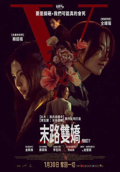 Y计划(2026)海报