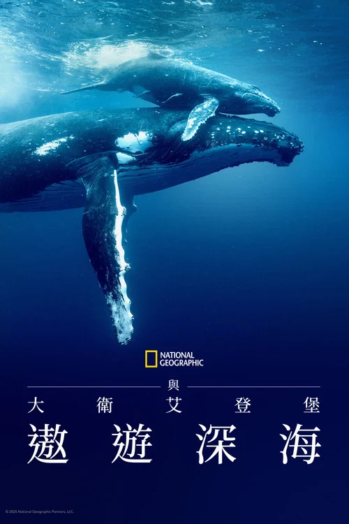 大卫·爱登堡:海洋(2025)海报