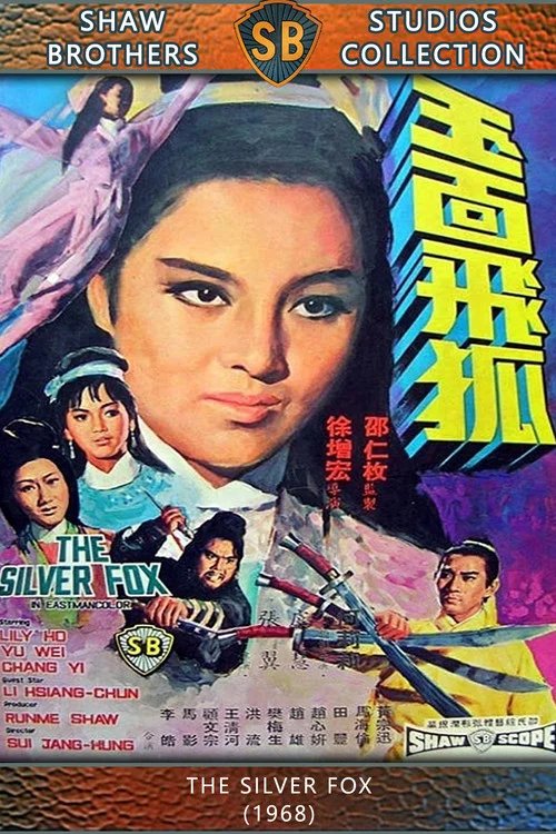 玉面飞狐剧照2
