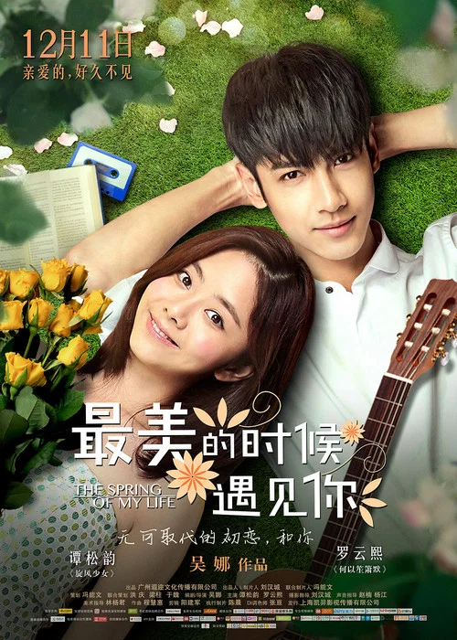 最美的时候遇见你2014(2015)海报