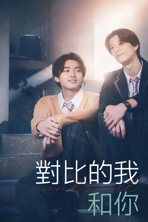 对比的我和你(2026)海报