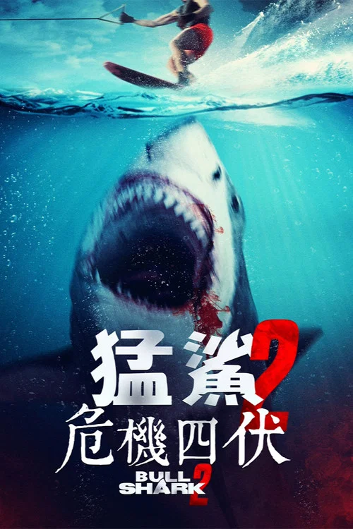 水中血2(2024)海报