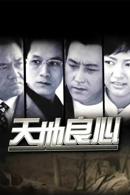 天地良心(2001)海报