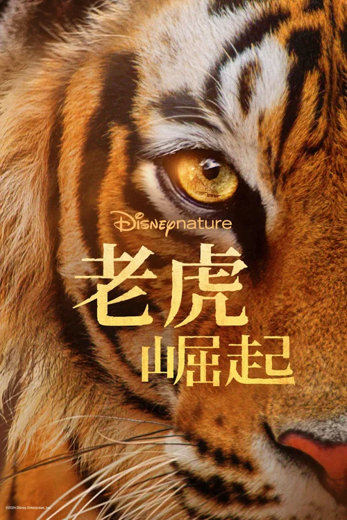 老虎崛起(2024)海报