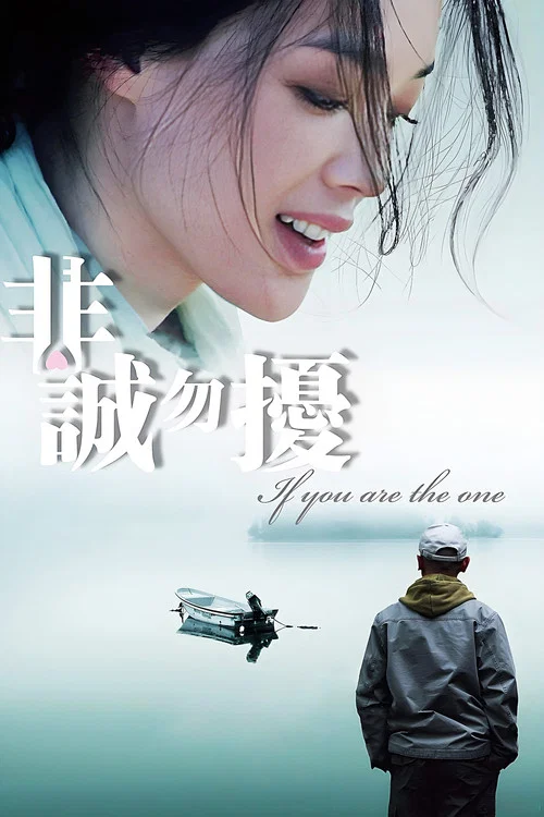 非诚勿扰(2008)海报