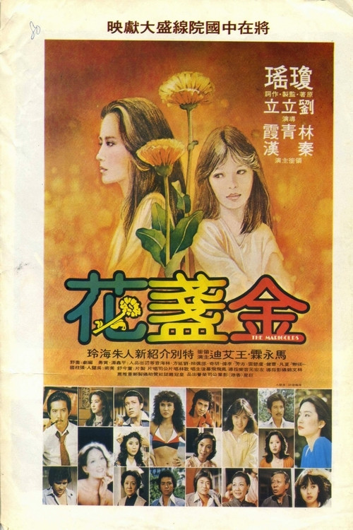 金盏花(1980)海报