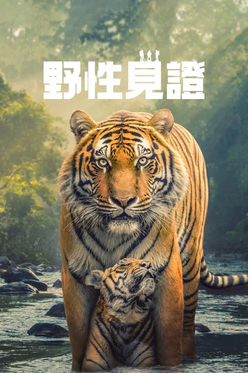 野性生灵(2025)海报