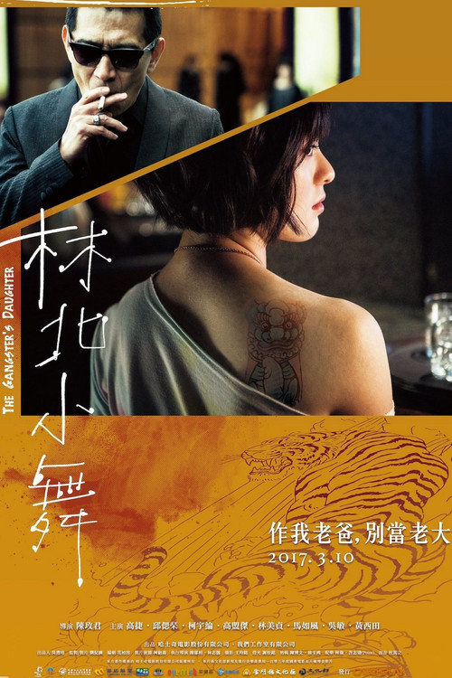 林北小舞(2017)海报